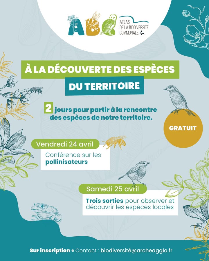#ENVIRONNEMENT #archeagglo | À la découverte des espèces du territoire