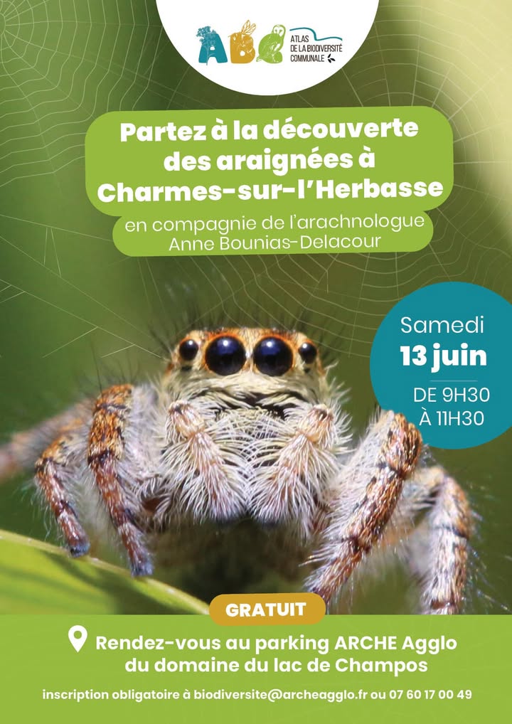 🕷️A la découverte des araignées… 🕷️