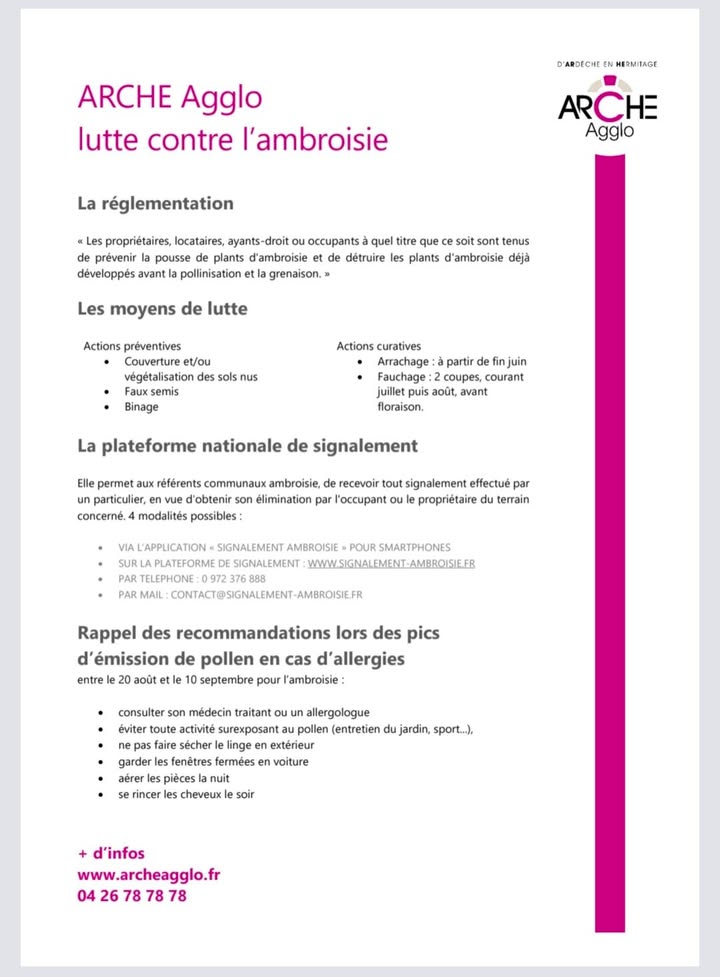 Petits rappels concernant la lutte contre l’ambroisie !